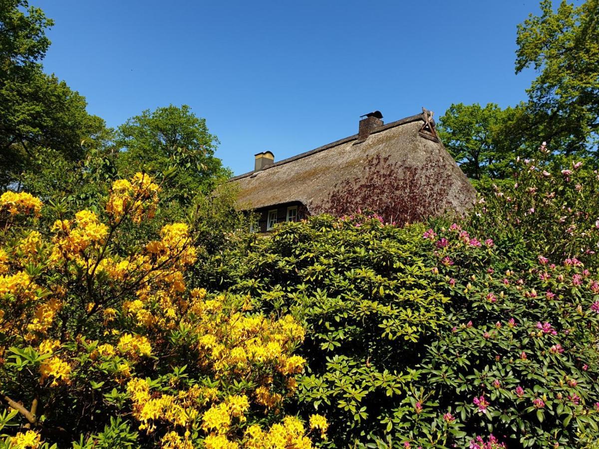 Hof Lindemann Villa ชเนเวอร์ดิงเงิน ภายนอก รูปภาพ